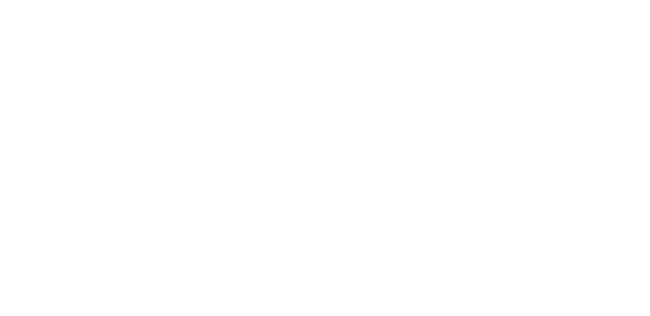 https://nelanomis.com/wp-content/uploads/2025/03/mape.png